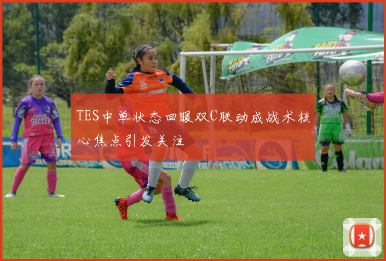 TES中单状态回暖双C联动成战术核心焦点引发关注